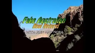 Fake Australian Real Nature: American Southwest