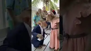 Proposal of the year and it&rsquo;s not even close
