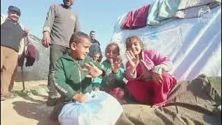 800 Paket Bahan Makanan di Sekitar Perbatasan Rafah - Gaza
