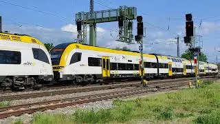 DB ET 462 in Doppeltraktion, Riegel DB, 24.05.23