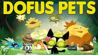 [Dofus Pets] Pr&eacute;sentation de Dofus Pets + 1&egrave;re &eacute;volution