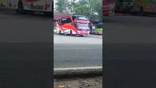 Bus Sudiro Tungga Jaya STJ 'Saghara'