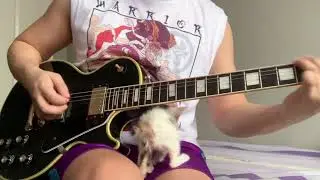 Cat joins in during guitar practice #prince #cat #guitar
