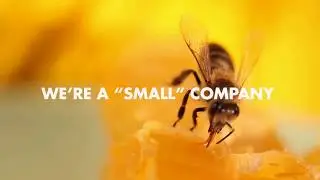 We&rsquo;re a &ldquo;small&rdquo; company with a big specialization.