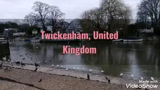 Chirping of Birds at the riverside