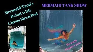 Mermaid Tami Debuts with the Circus Siren Pod at Mermaid Megafest