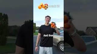 Полный день питания: фруктовый вариант 🍓🍊🍎