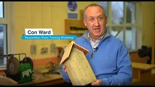 Bee hotels bring a host of benefits to locals in Roscommon