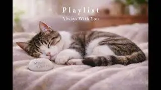 [Playlist] Always With You &mdash; Cat Memorial Music | Gentle Goodbye Songs | Pet Loss Grief
