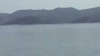 VID00157
