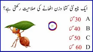 Interesting Facts||General knowledge||Urdu Questions||Informative Video||World Facts||