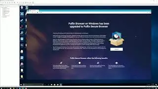 Puffin Secure Browser, cracked 2019