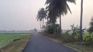 Walking Alone | No Voice, Just Music