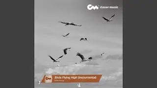 Birds Flying High (Instrumental)
