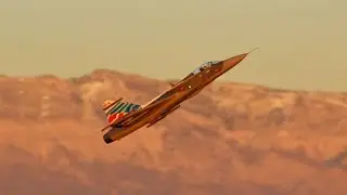 Freewing JAS-39 Gripen High Alpha