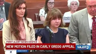New motion filed in Carly Gregg appeal