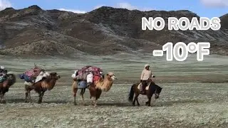 Moving an Entire Life with Camels: The Coldest Nomad Migration
