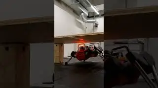 ANYmal learns Parkour