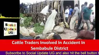Cattle Traders Involved In Accident In Sembabule District
