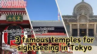 What is the difference between a shrine and a temple? 3 famous temples in Tokyo