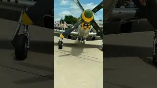 P51 Mustang. WWII warbird that is still operational.