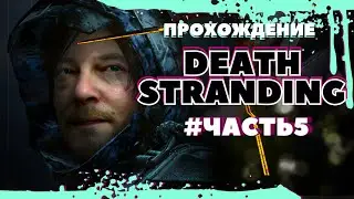 SHAYA RISE лучшие моменты и нарезки со стримов в TWITCH