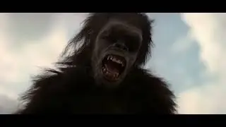 Ape  '2001  A Space Odyssey'   Dawn of man