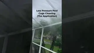 Pool Cage Cleaning