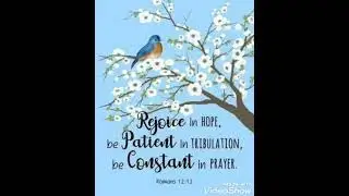 be patient in tribulation