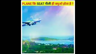 'Why Do Aeroplanes Have Blue Seats?' Uncover the Mystery Here! #shorts #informationtube