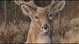 In Focus | Wildlife Artist Jeff Renner - Lakeland News - December 16, 2011