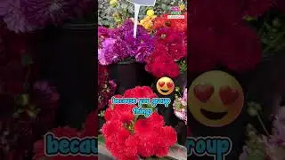 Chris at the Melbourne International Flower & Garden Show! 🌺