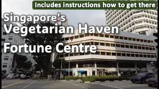 Vegetarian Cafes/Eateries at Fortune Centre (Dec 2023)
