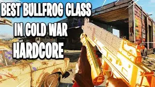 Best Bullfrog Hardcore Class Black Ops Cold War