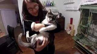 Autumn the cat's GoPro Session