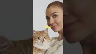 Adopting a Ginger Cat? Essential Tips You Need!