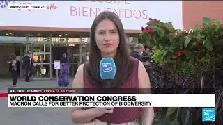 World conservation congress : Macron calls for better protection of biodiversity &bull; FRANCE 24