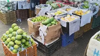 tình hình cập nhật chợ hôm nay tiếp tục ế thảm,tại chợ đầu mối hóc môn Sài Gòn TP HCM 06/02/2026