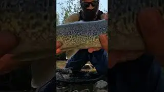 👆🏻v&iacute;deo completo #fishingbloggers #vlogfishing #videospescando
