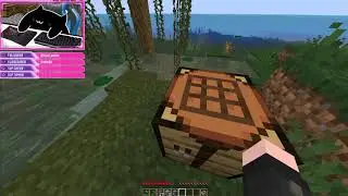 HYPIXEL SMP ULTRA HARDCORE W/ FOLLOWERS