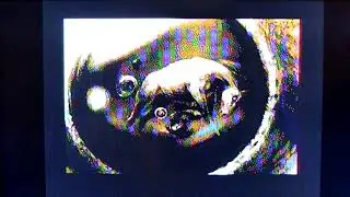 BluReu 64  / Crest - C64 REU  (test)