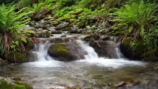 💧 Clear River Water Sounds &ndash; Relaxing ASMR for Deep Sleep