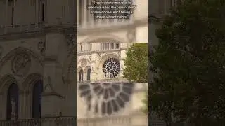 Notre Dame : Landmark Of Paris #travelguide #travel #paristravelguide #museedorsay #paristourism