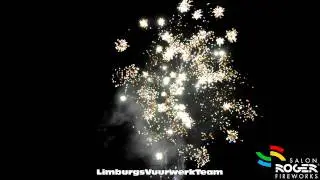 12 Shots Blue Bouquet Firework Salon Roger - HD