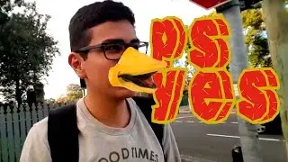 Hablando ingl&eacute;s como un dodo Blog Viajero Noob Sydney australia #7