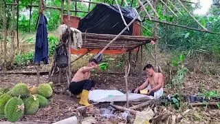 MELAKUKAN PENYIANGAN, BUAHNYA KEBURU MASAK, PONDOK BELUM JADI, ADA SIAMANG NYA LAGI.