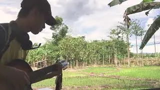 Stacy cover - Pelangi senja di rice fields le