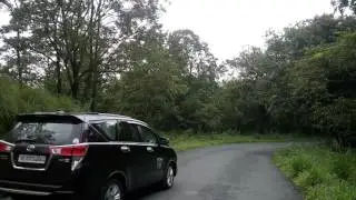 Elephant at Idukki Forest (11.00 am)