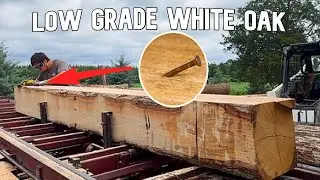 White Oak Part 2: Tackling The Tougher Logs