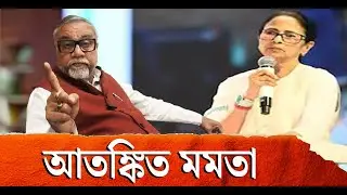 আইপ্যাকের অফিসে ইডি হানায় মমতা আতঙ্কিত, বললেন বিজেপি নেতা তাপস রায় | Mamata Banerjee | IPAC | ED